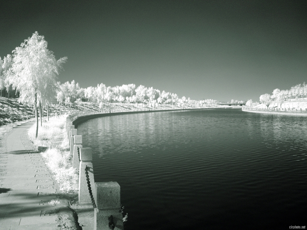 IR_DSC04455.jpg