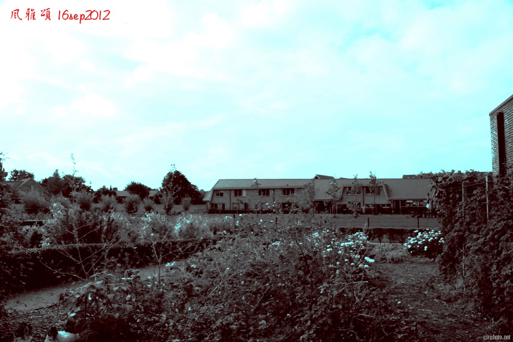 c063.jpg