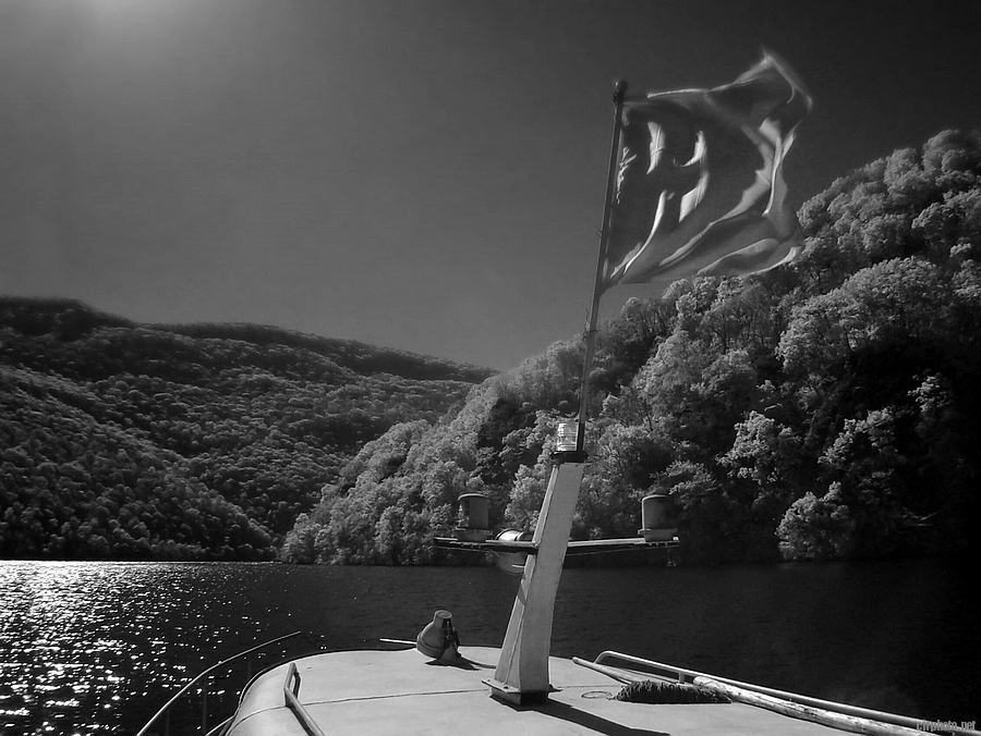 ɽ.jpg