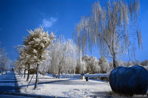 nEO_IMG_DSC_0265=680ǿ.jpg
