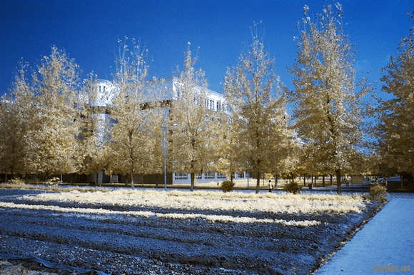 nEO_IMG_DSC_0235=680.jpg