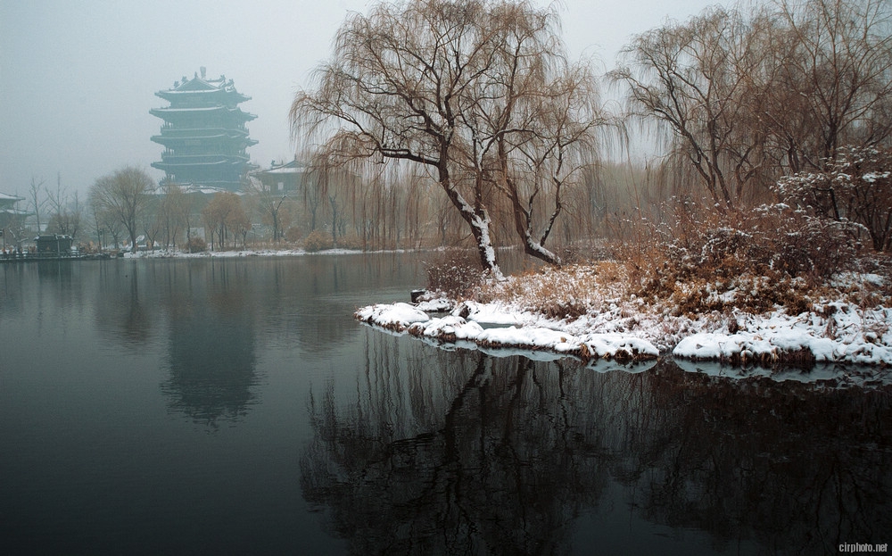 DSC_0017.jpg