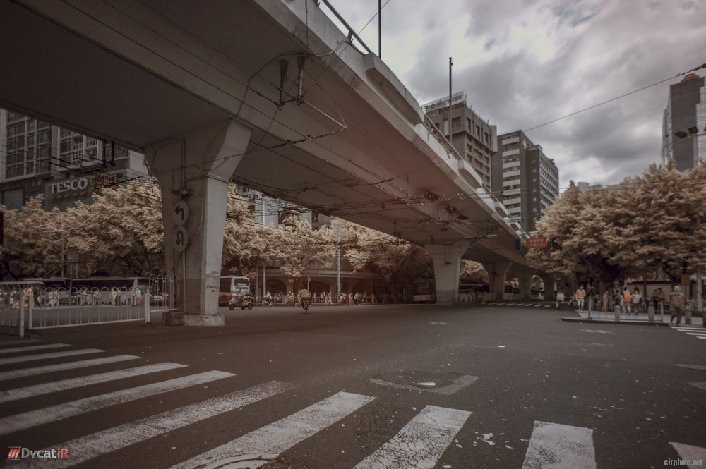 LRE+IR-20130407-033404.jpg