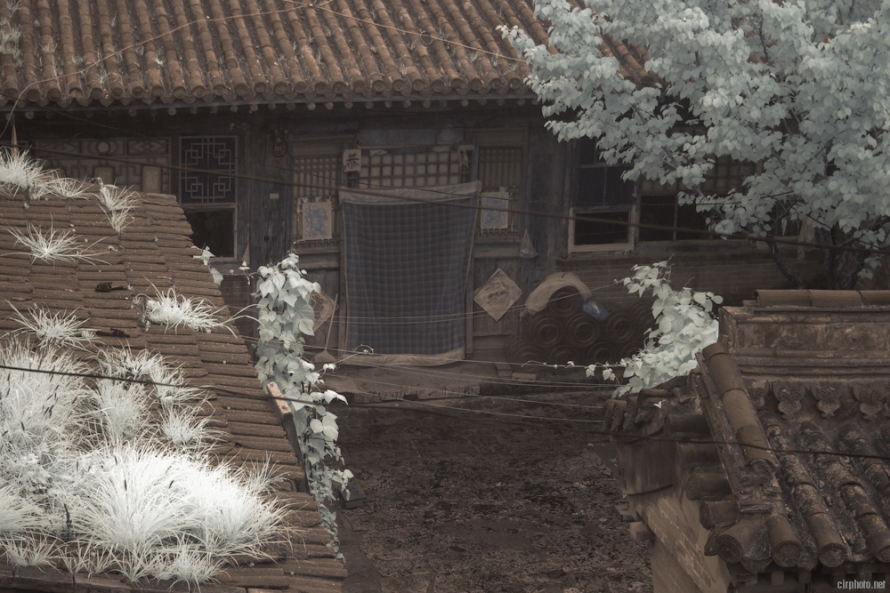 20130726-_IGP8655.jpg